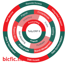 Tally ERP Crack
